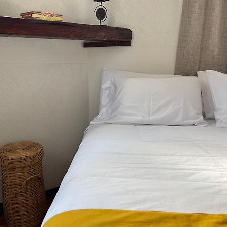 Villa Coyoacan 墨西哥城 外观 照片