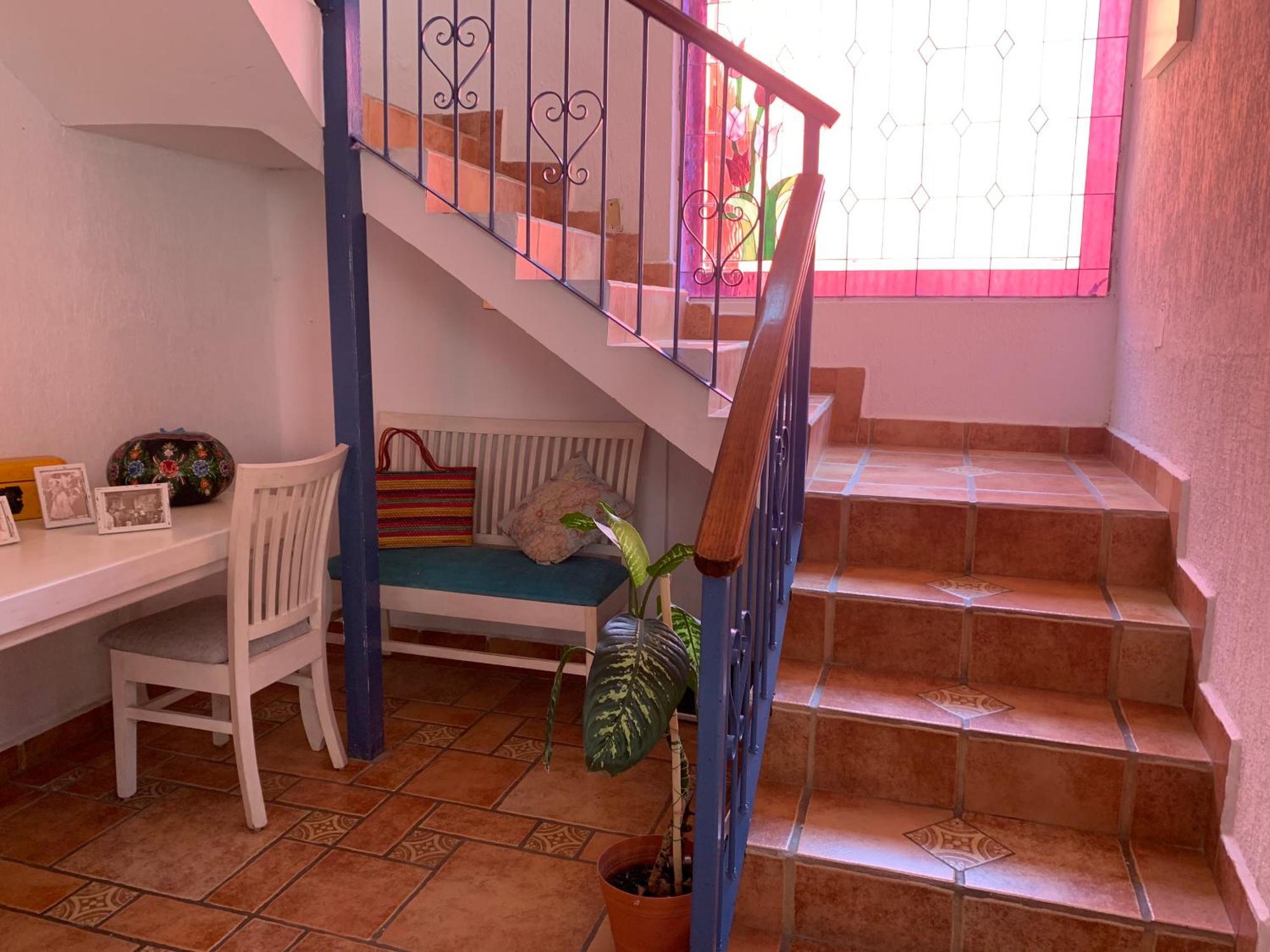 Villa Coyoacan 墨西哥城 外观 照片