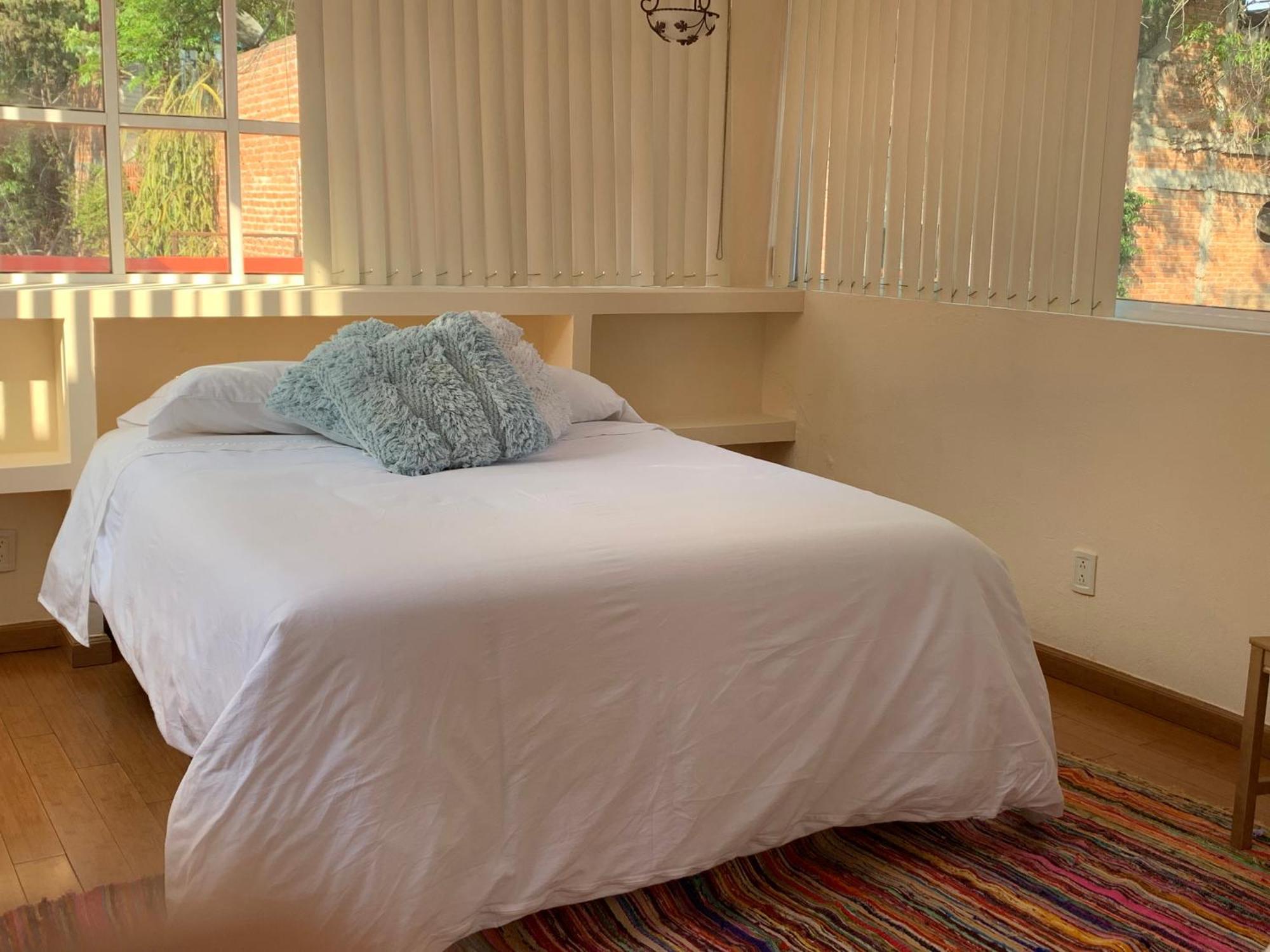 Villa Coyoacan 墨西哥城 外观 照片