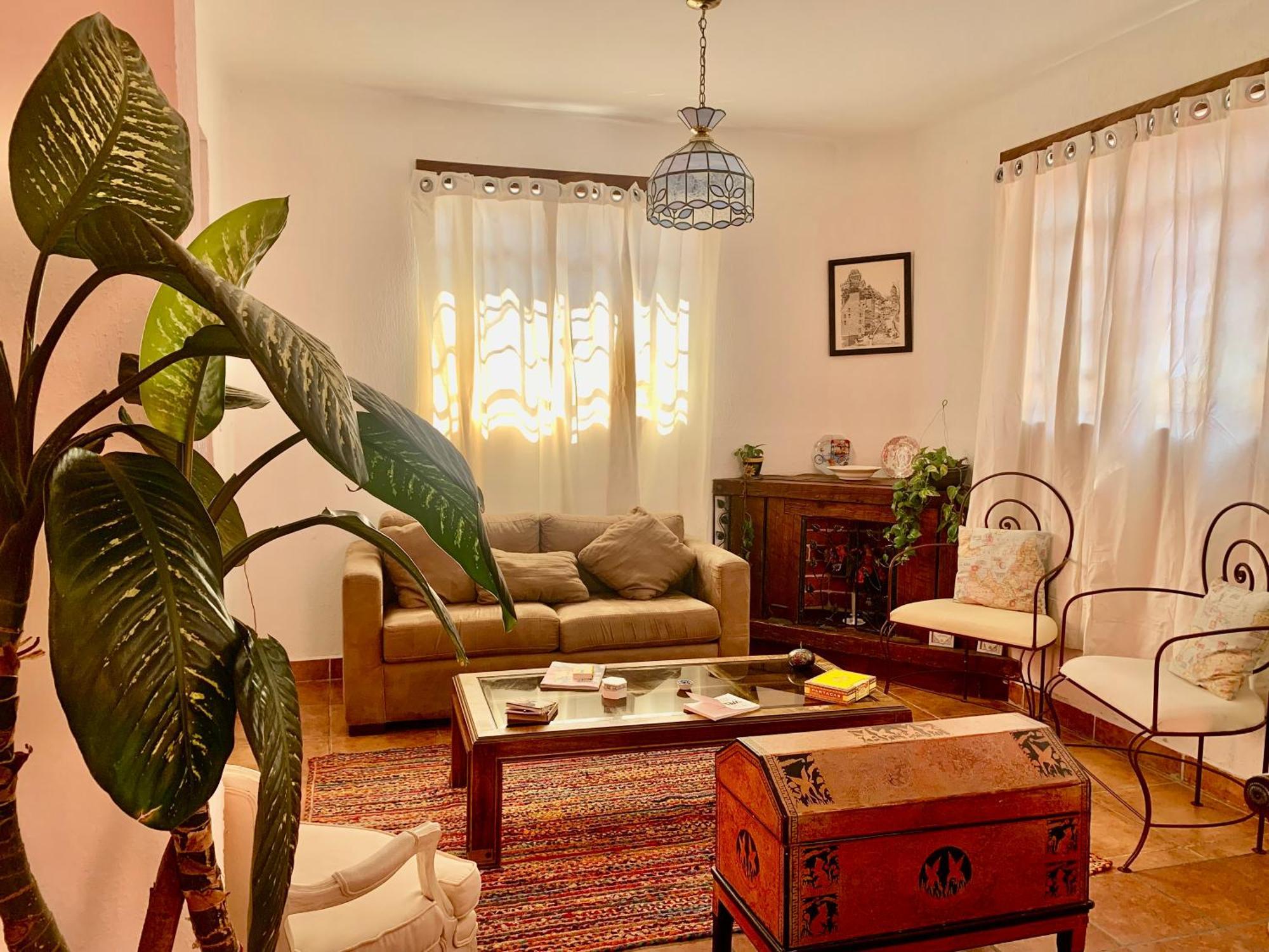 Villa Coyoacan 墨西哥城 外观 照片
