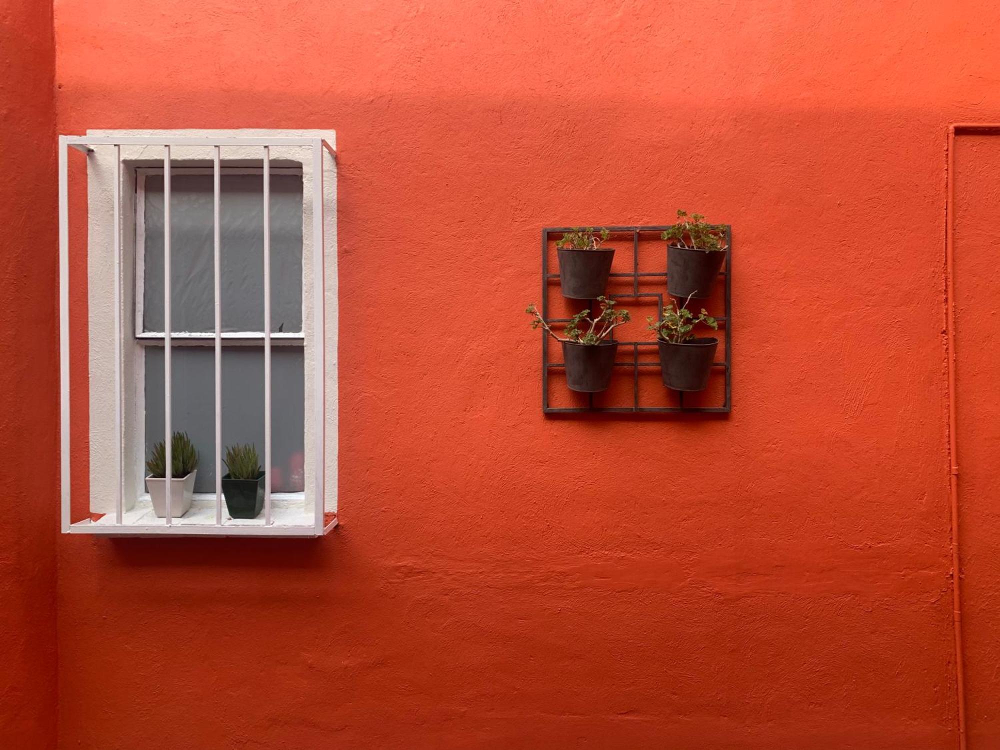 Villa Coyoacan 墨西哥城 外观 照片