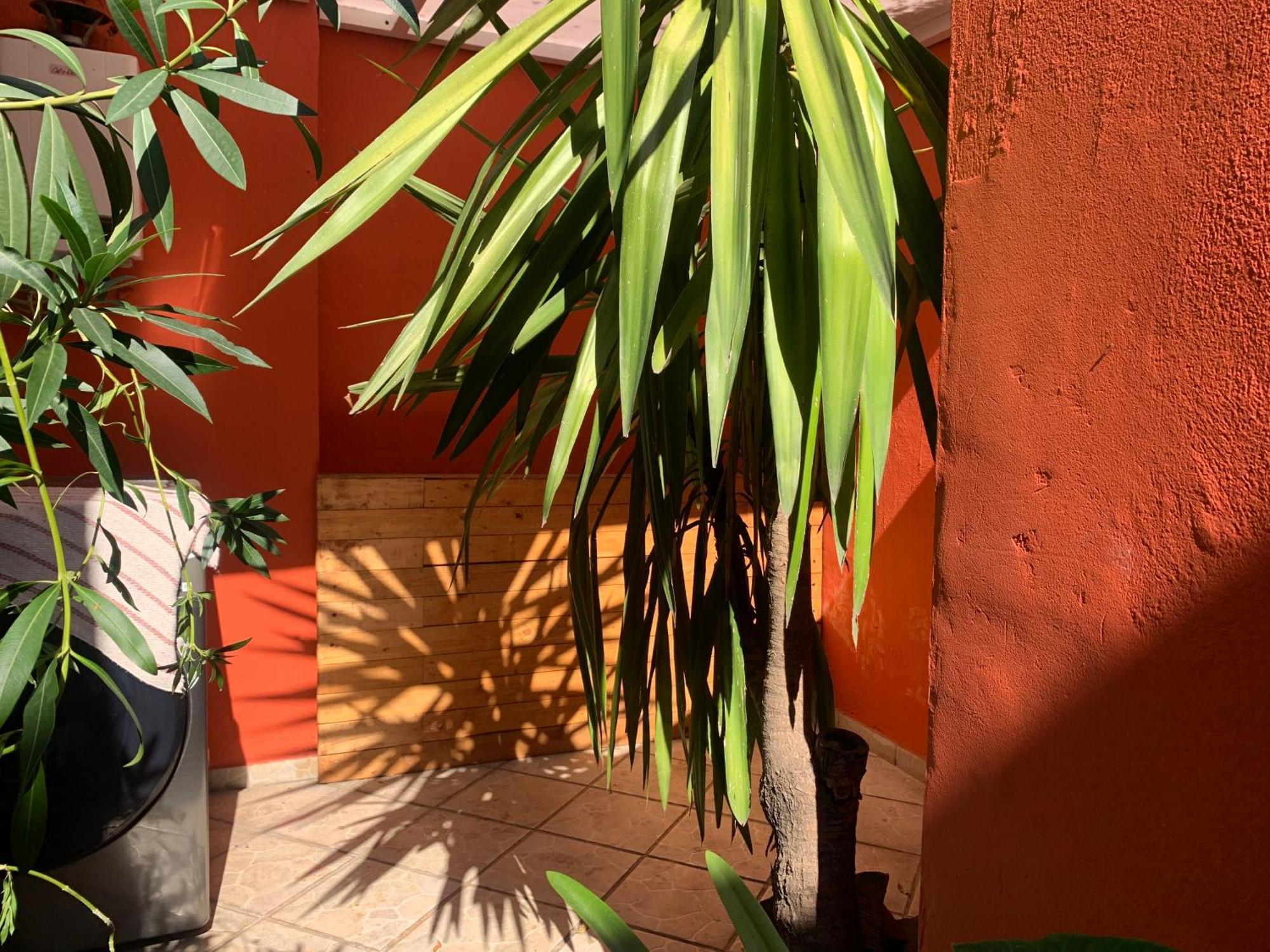 Villa Coyoacan 墨西哥城 外观 照片