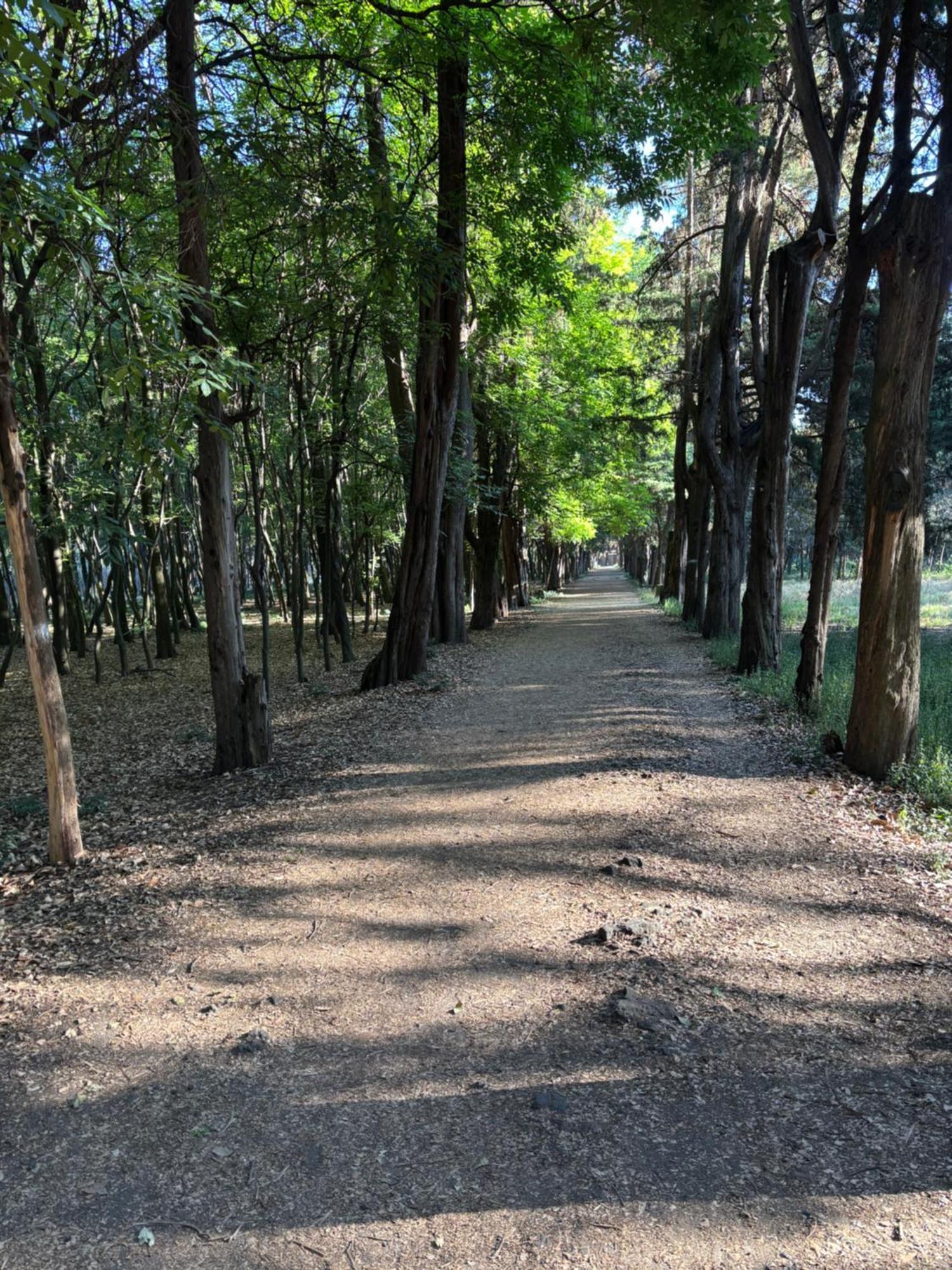 Villa Coyoacan 墨西哥城 外观 照片