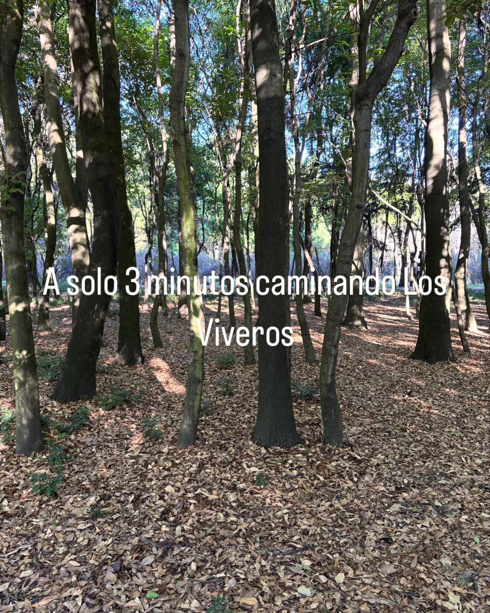 Villa Coyoacan 墨西哥城 外观 照片