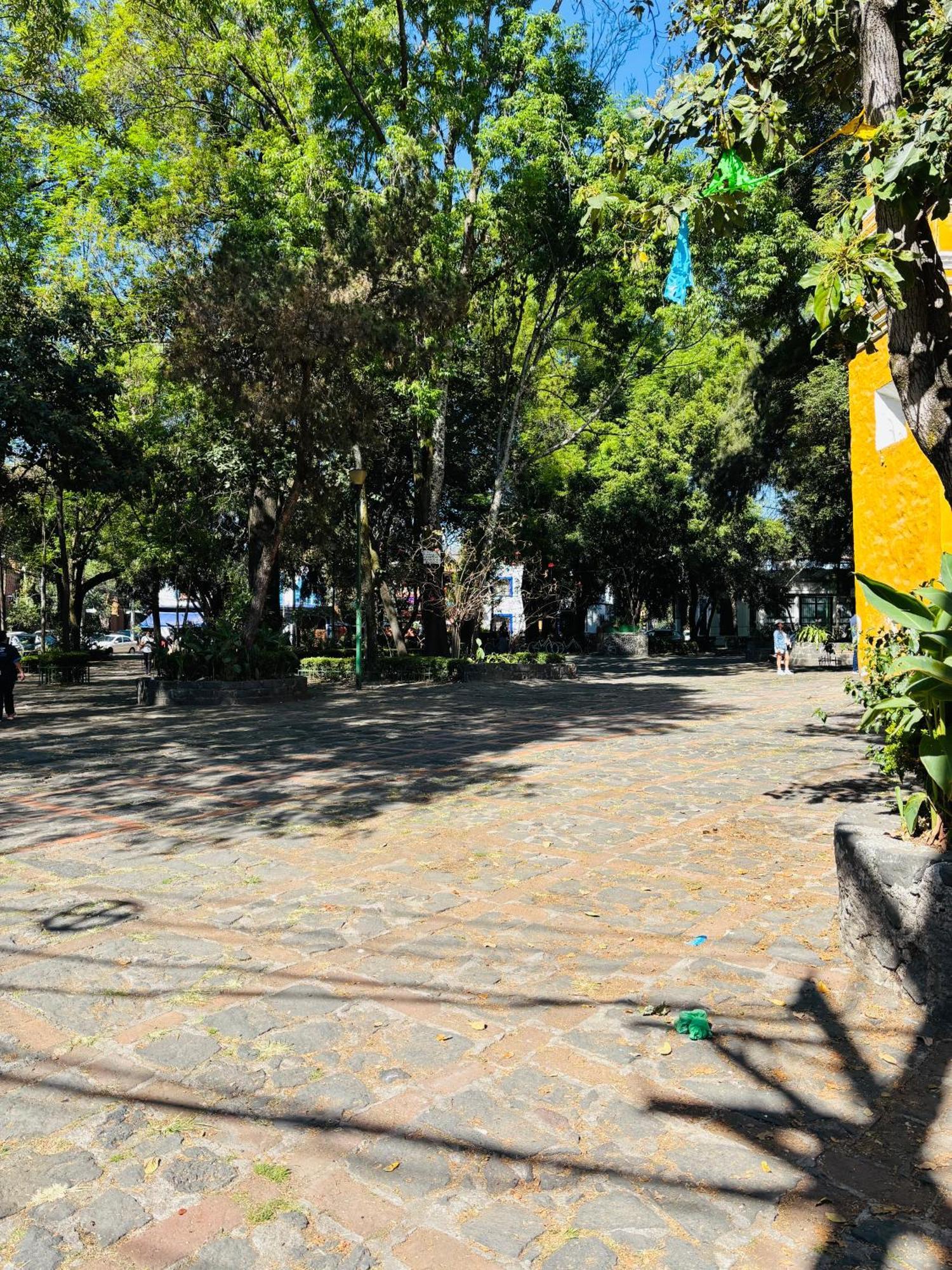 Villa Coyoacan 墨西哥城 外观 照片